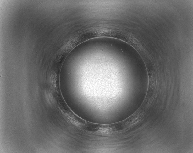 X0000061100458200511210911