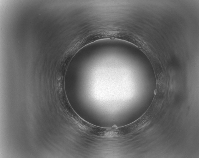 X0000061100462200511210912