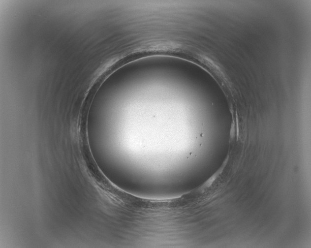 X0000061100483200511210911