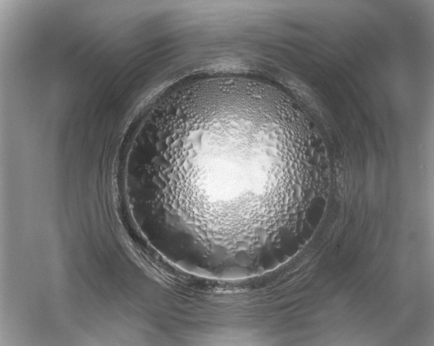 X0000061100487200511210911