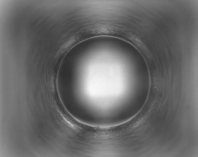 X0000061100489200511210911