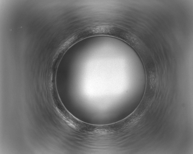 X0000061100490200511210911