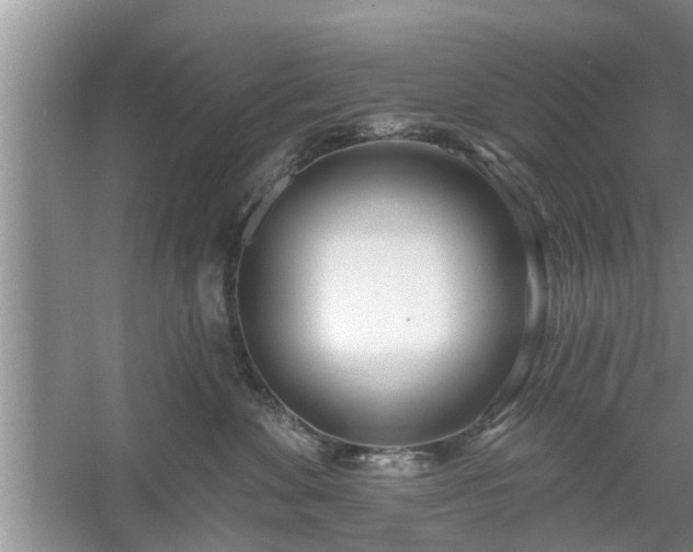 X0000061100524200511210910