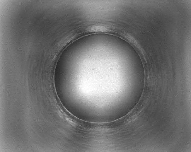 X0000061100529200511210909