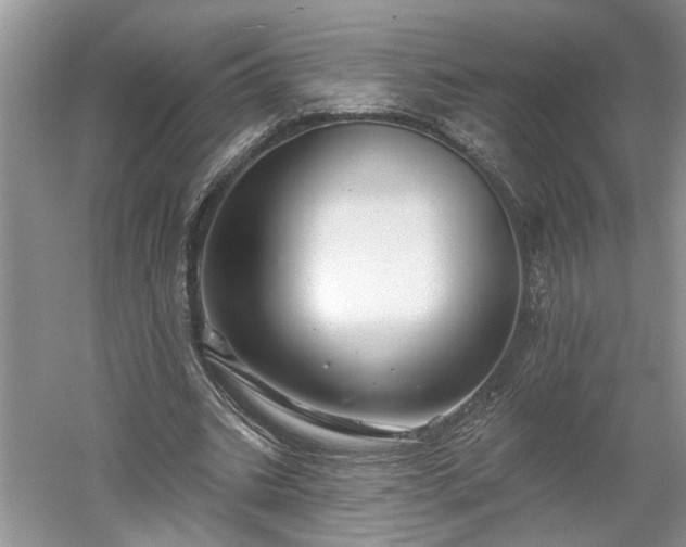 X0000061100535200511210910