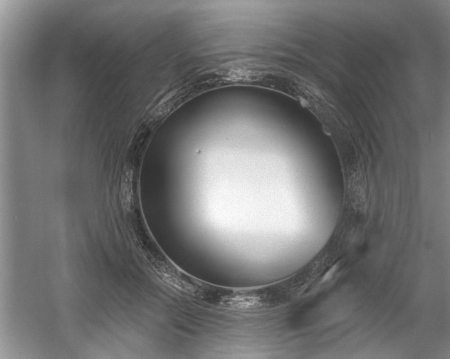 X0000061100554200511210910