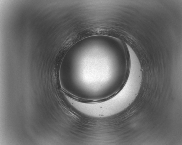 X0000061100558200511210910
