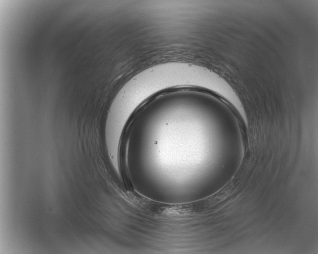 X0000061100568200511210910