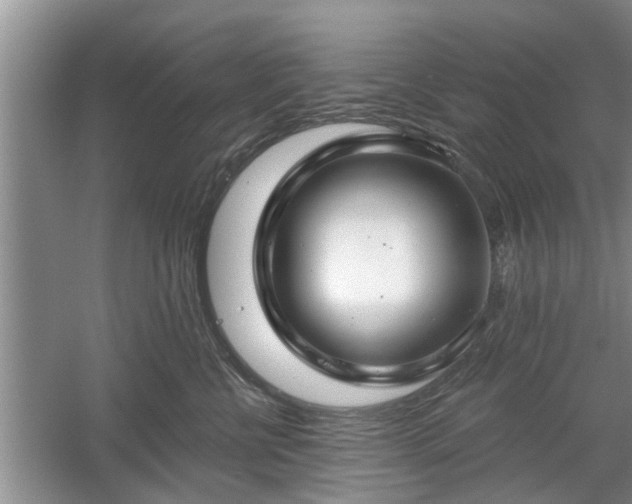 X0000061100570200511210910