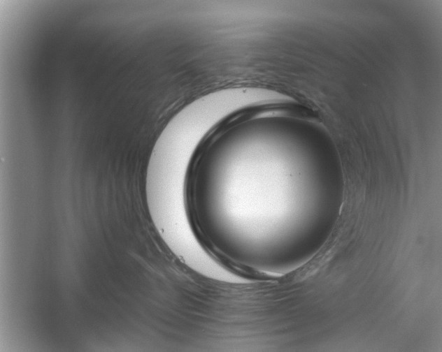 X0000061100576200511210910