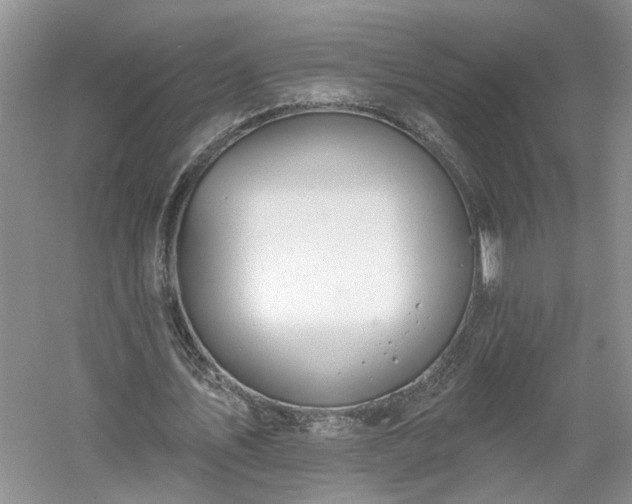 X0000061100579200511210909