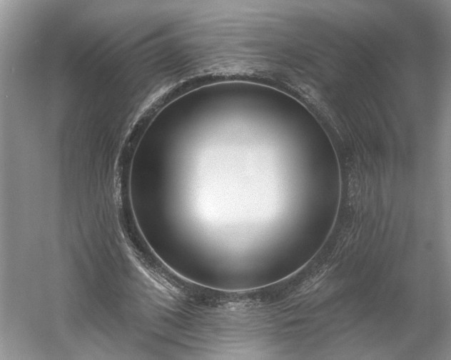 X0000061100584200511210909