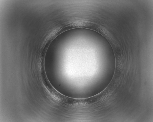 X0000061100586200511210909