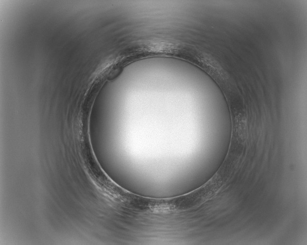 X0000061100587200511210909