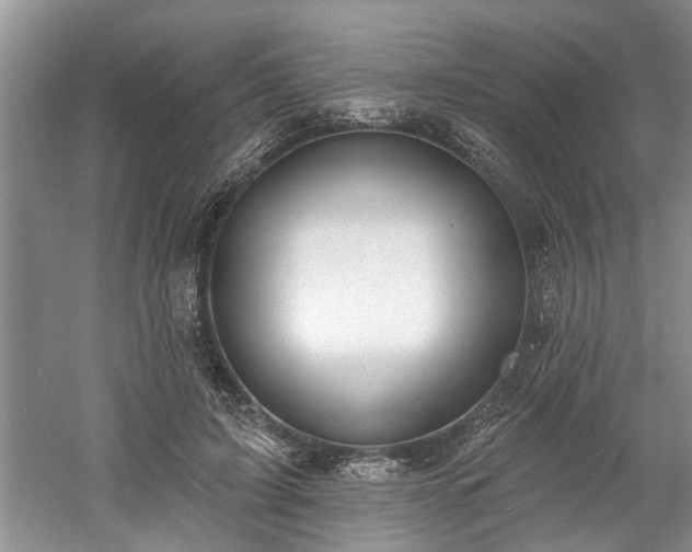 X0000061100595200511210909