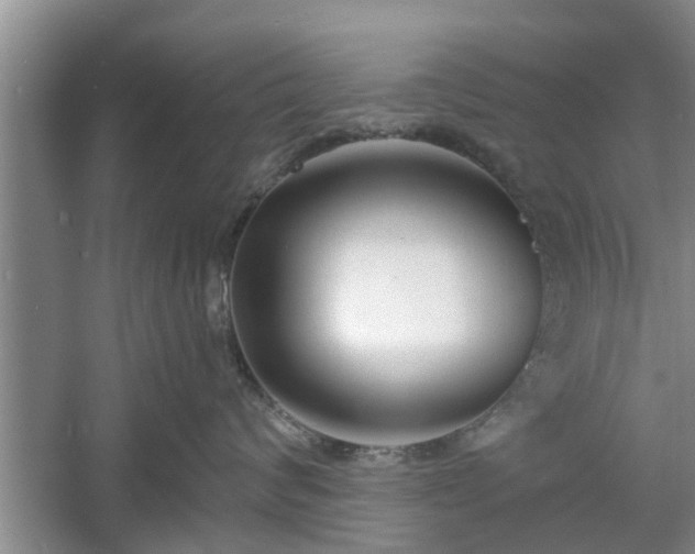 X0000061100624200511210909