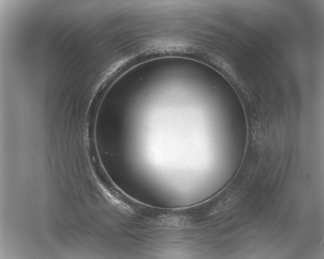 X0000061100629200511210908