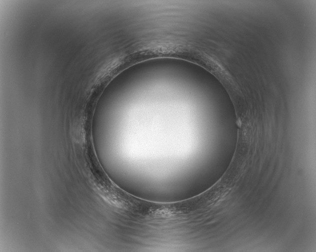 X0000061100635200511210908