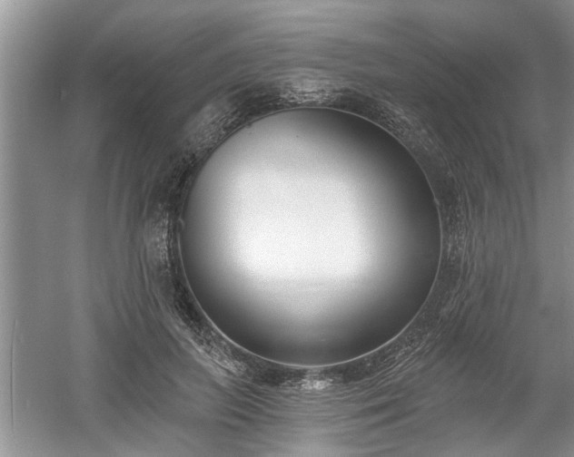 X0000061100647200511210908