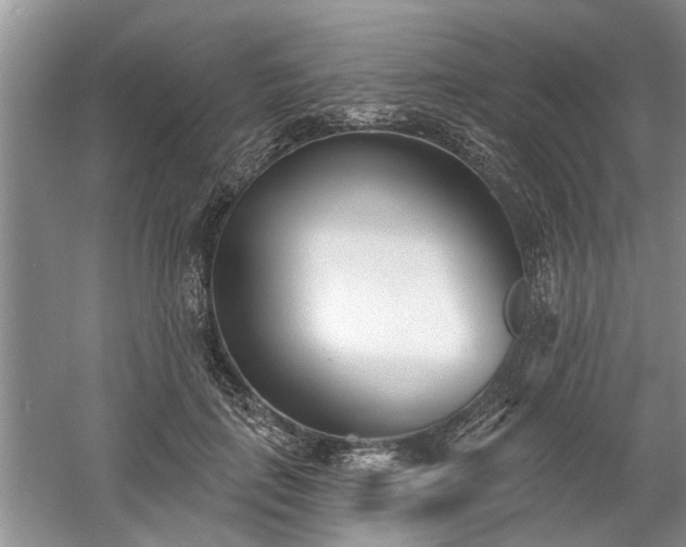 X0000061100651200511210908