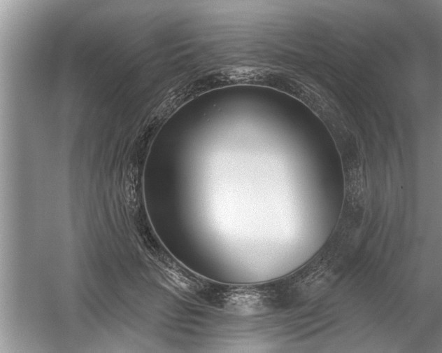 X0000061100653200511210908