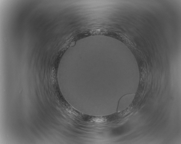 X0000061100659200511210908