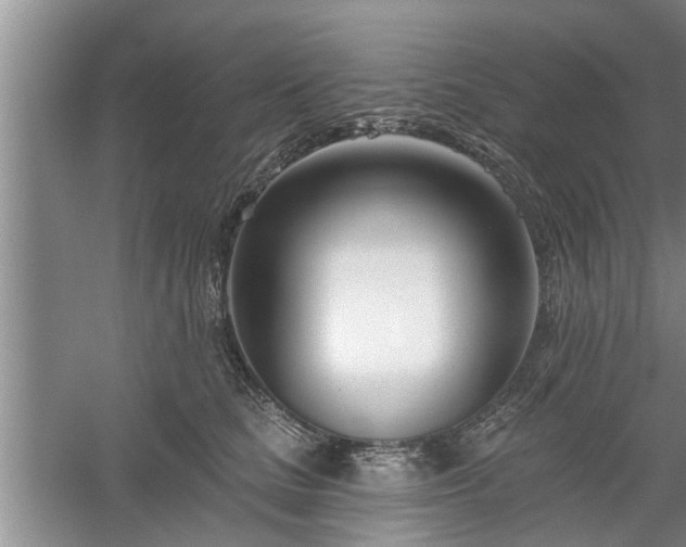 X0000061100661200511210908