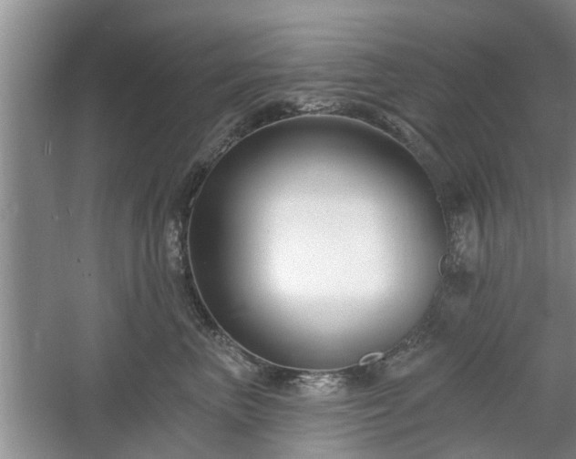 X0000061100667200511210908