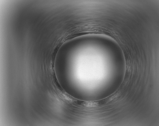 X0000061100670200511210909