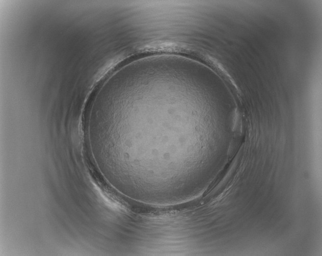 X0000061100674200511210908