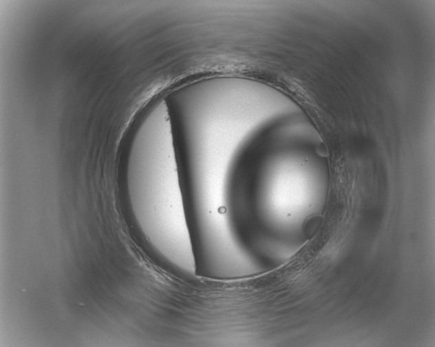 X0000061100679200511210908