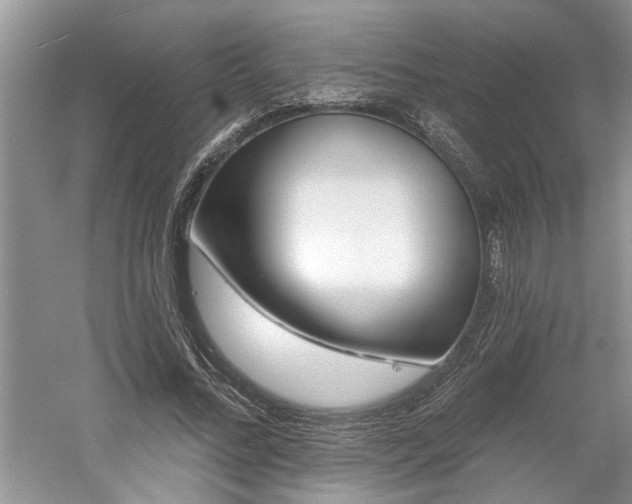 X0000061100684200511210908