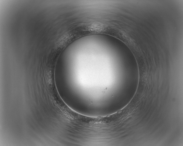 X0000061100689200511210907