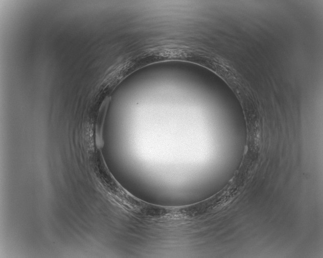 X0000061100696200511210907