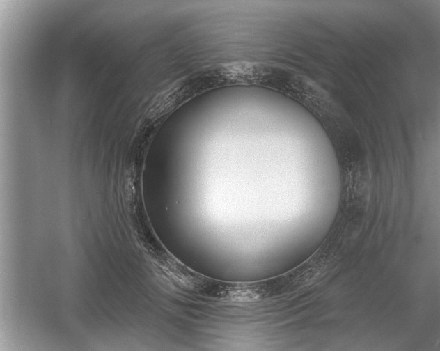 X0000061100702200511210907