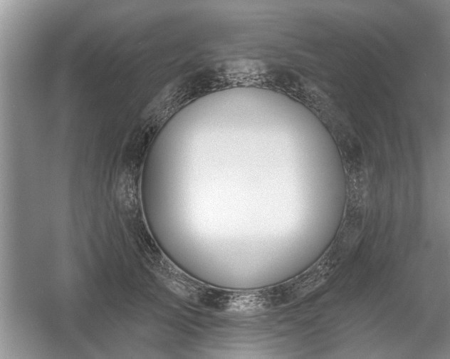 X0000061100705200511210907
