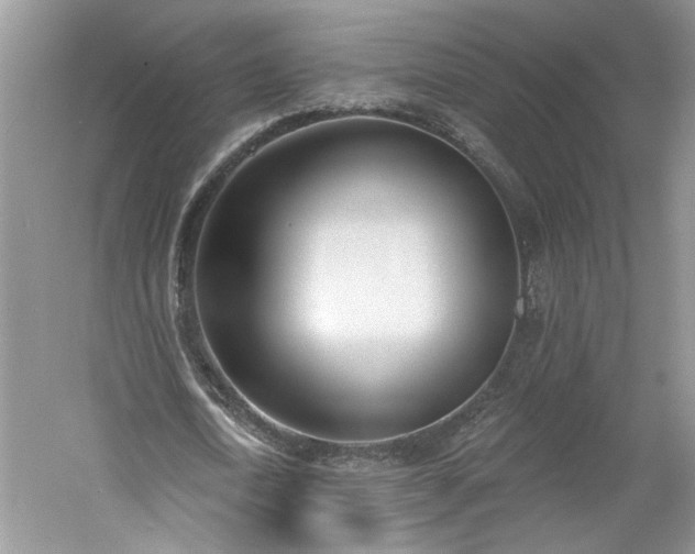 X0000061100722200511210906