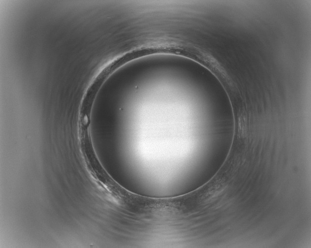 X0000061100724200511210906