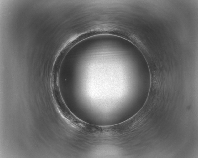 X0000061100726200511210906