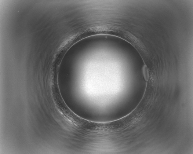 X0000061100732200511210906