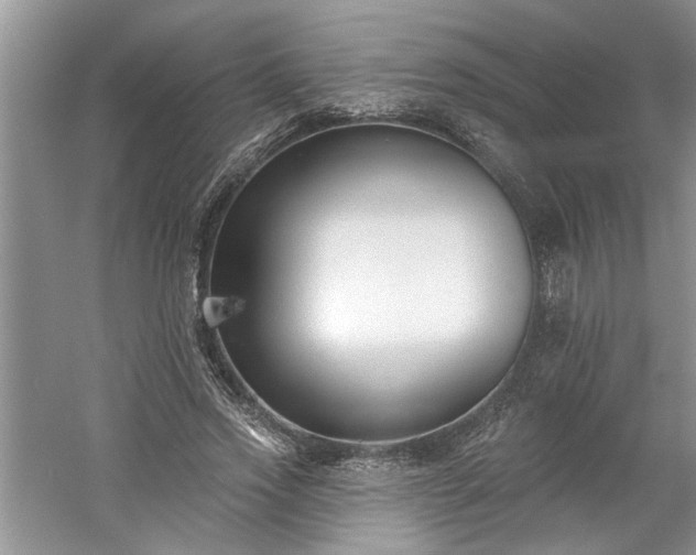 X0000061100733200511210906