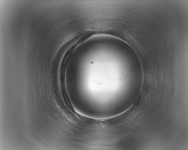 X0000061100735200511210906