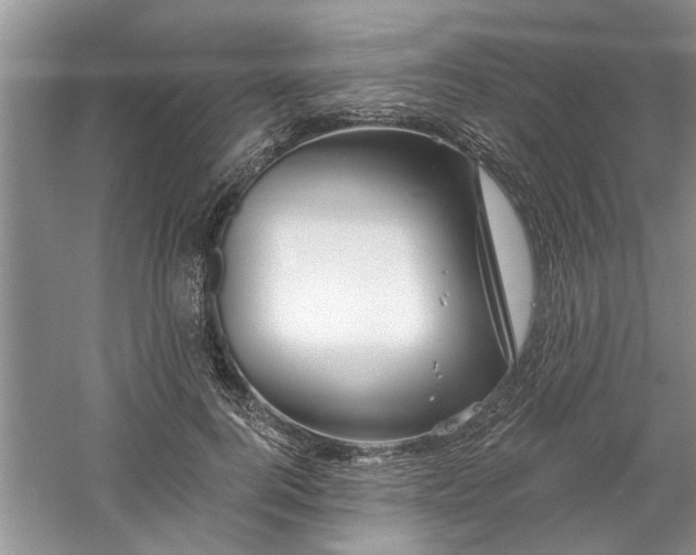 X0000061100744200511210906