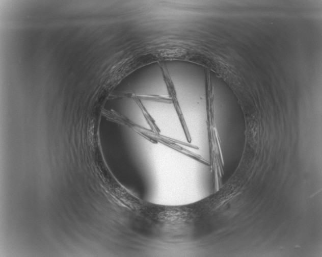 X0000061100745200511210907