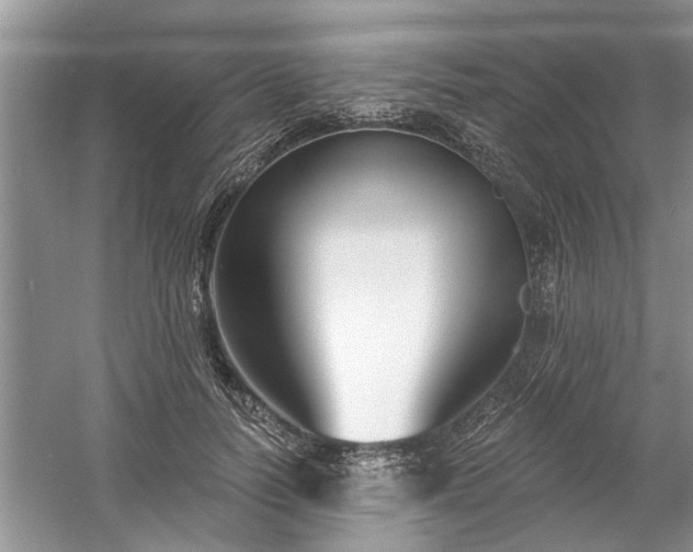 X0000061100746200511210907