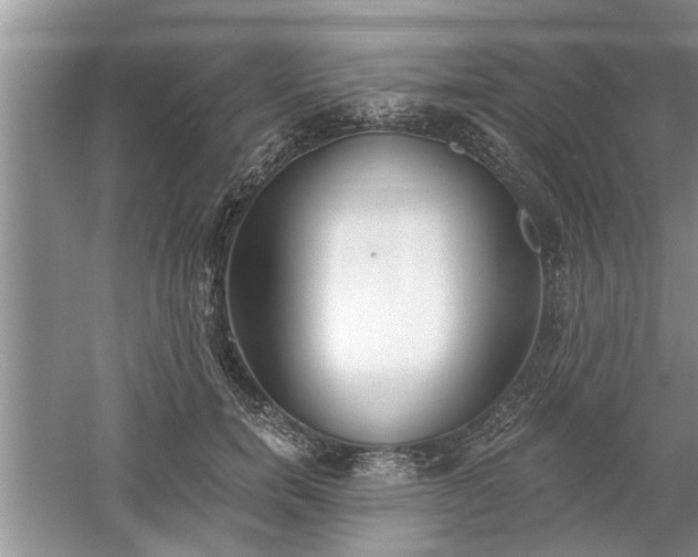 X0000061100750200511210907