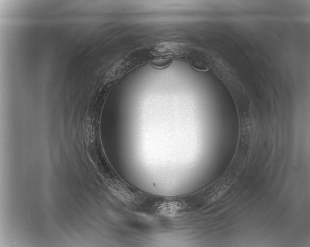X0000061100751200511210907