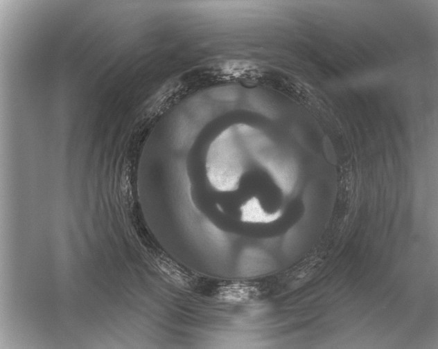 X0000061100754200511210907