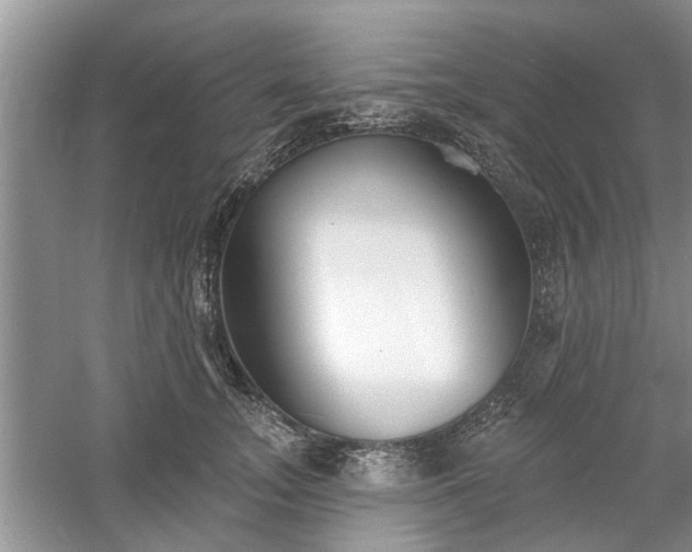 X0000061100755200511210907