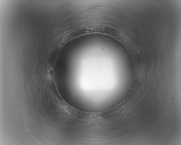 X0000061100770200511210906